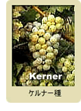  Kerner