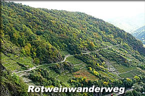 Rotweinwanderweg